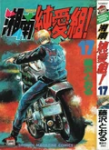 Cover of SJG - Volume 17