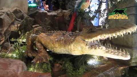 Customize Animal Handcraft with Sound,Life Size Crocodile Model