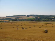 Feld mit Heuballen