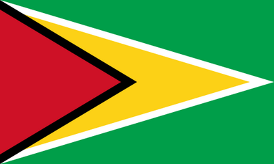 500px-Flag of Guyana