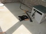 Guitar's broken.