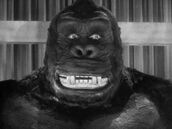 Kong Ape