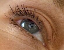 Eye.jpg