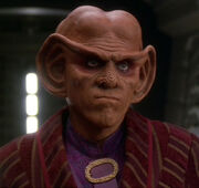 Quark, 2375