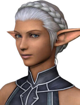 FElvaanFace 2