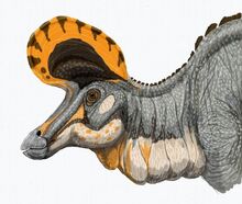 Lambeosaurus magnicristatus DB