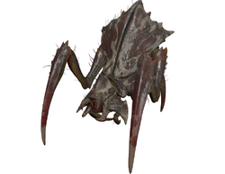 HLA Antlion Soldier