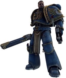 Titus