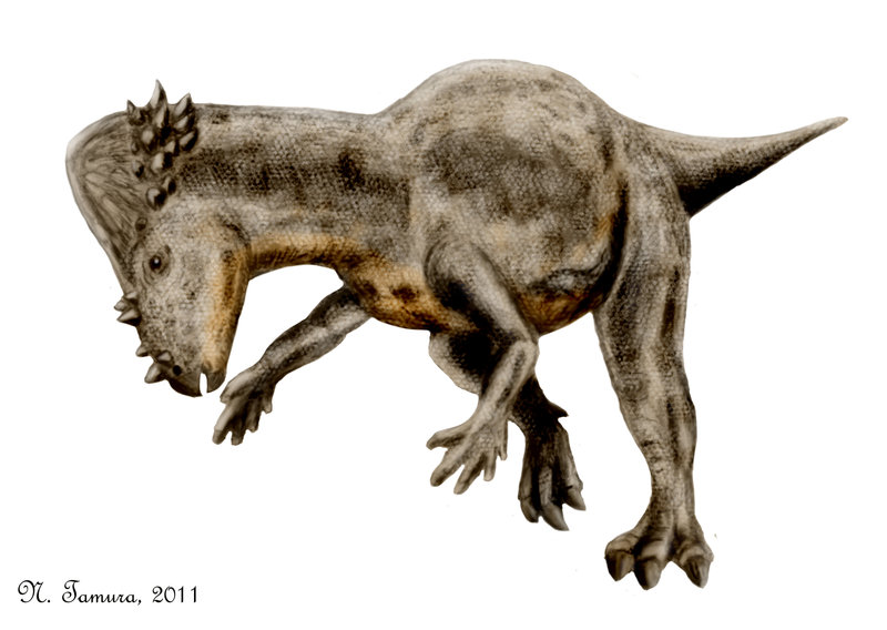 Pachycephalosaurus Great Multiverse Wiki Fandom 0431