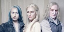 Castithan-family.jpg