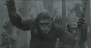 Caesar-dawn-of-the-planet-of-the-apes