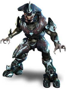 Storm Elite Officer