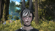 Yevran Fyth
