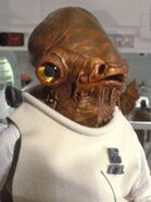 Gial Ackbar, leader of Home One