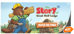 Great Wolf Kids Info : Great Wolf Lodge : Free Download, Borrow, and  Streaming : Internet Archive