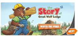Great Wolf Kids Info : Great Wolf Lodge : Free Download, Borrow, and Streaming : Internet Archive