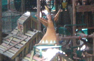 A statue of Yellow Feather at Great Wolf Lodge Williamsburg