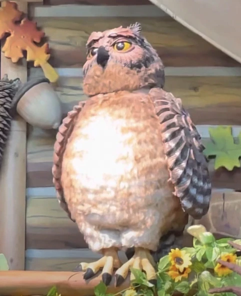 Owl | Great Wolf Lodge Wiki | Fandom