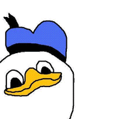 Dolan original