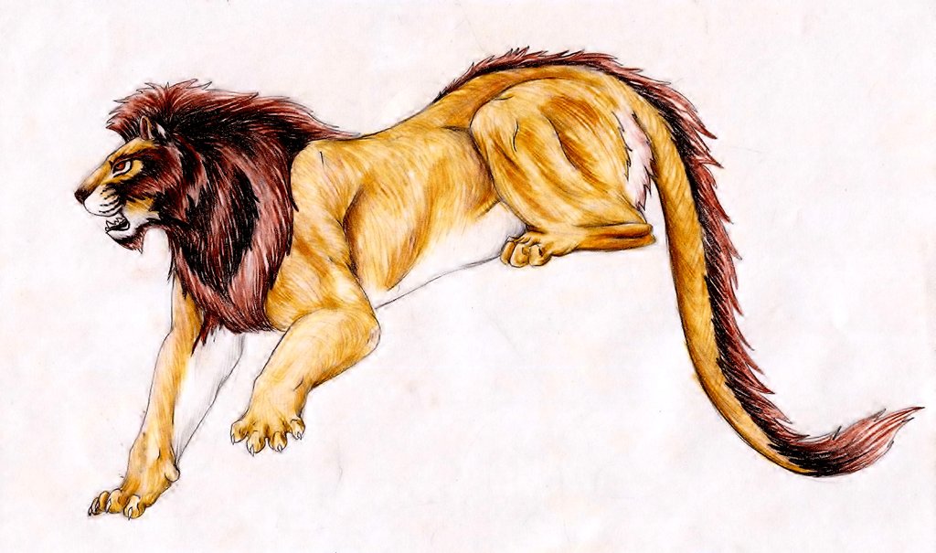 Slay The Nemean Lion Greek Myth Wikia Fandom 