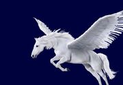 Pegasus-3-copy-787x542