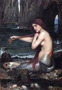 Waterhouse a mermaid