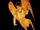 The Keres