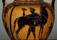 Mares-Black Amphora