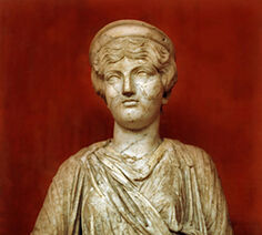 Eurybia 148.jpg
