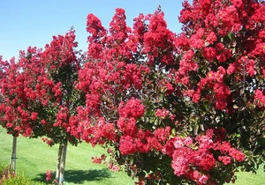 5db8fdba1ef8f21a8fa48c3d8d9a02dd