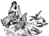 Aphrodite's Chariot