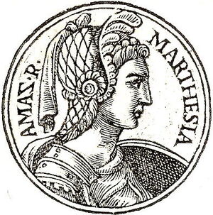 Marpesia-Marthesia.jpg