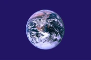 Save this planet by cutting down emissions with carpooling.