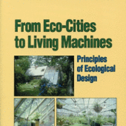 From Eco Cities to Living Machines