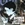 "East Jesus Nowhere", the third single from the eighth studio album 21st Century Breakdown by American band Green Day