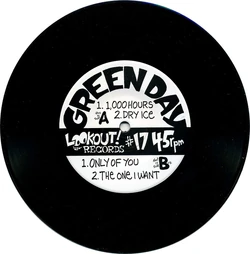 1,000 Hours | Green Day Wiki | Fandom