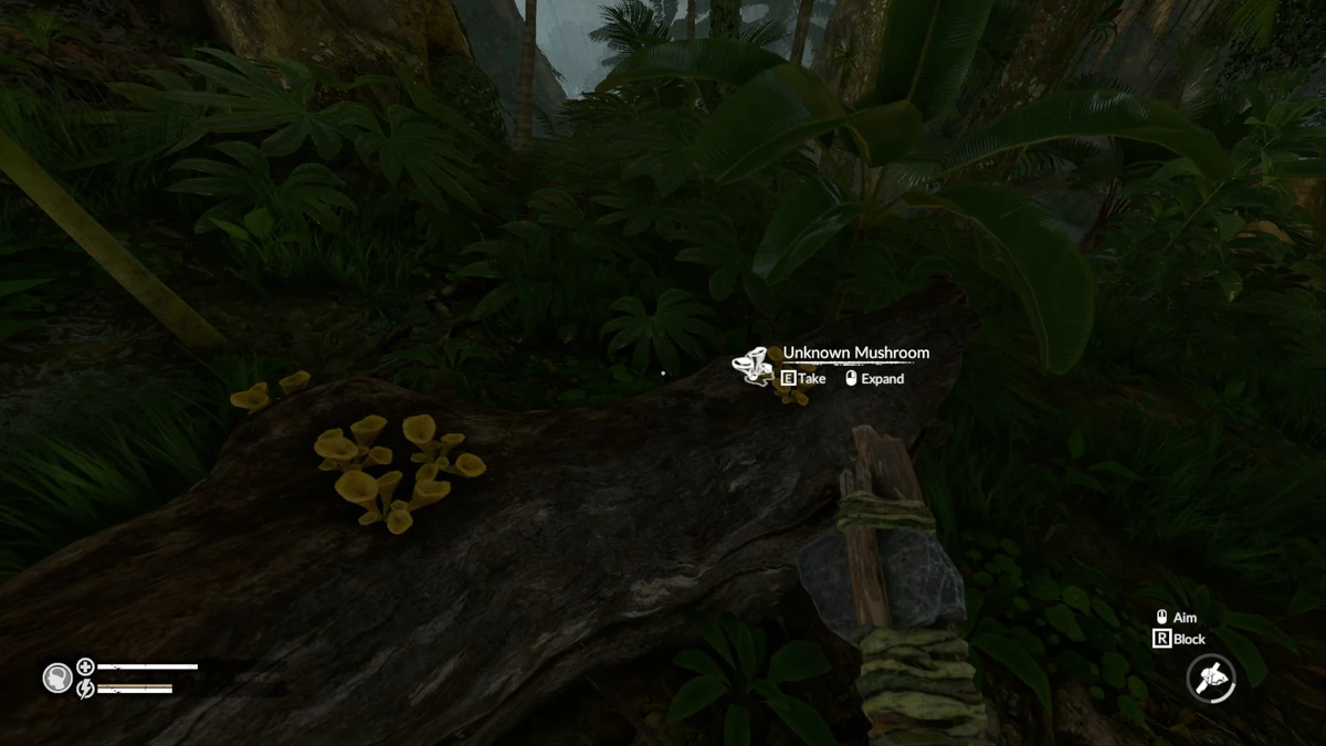 Unknown Mushroom (Yellow) Green Hell Wiki Fandom