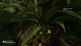 Molineria | Green Hell Wiki | Fandom