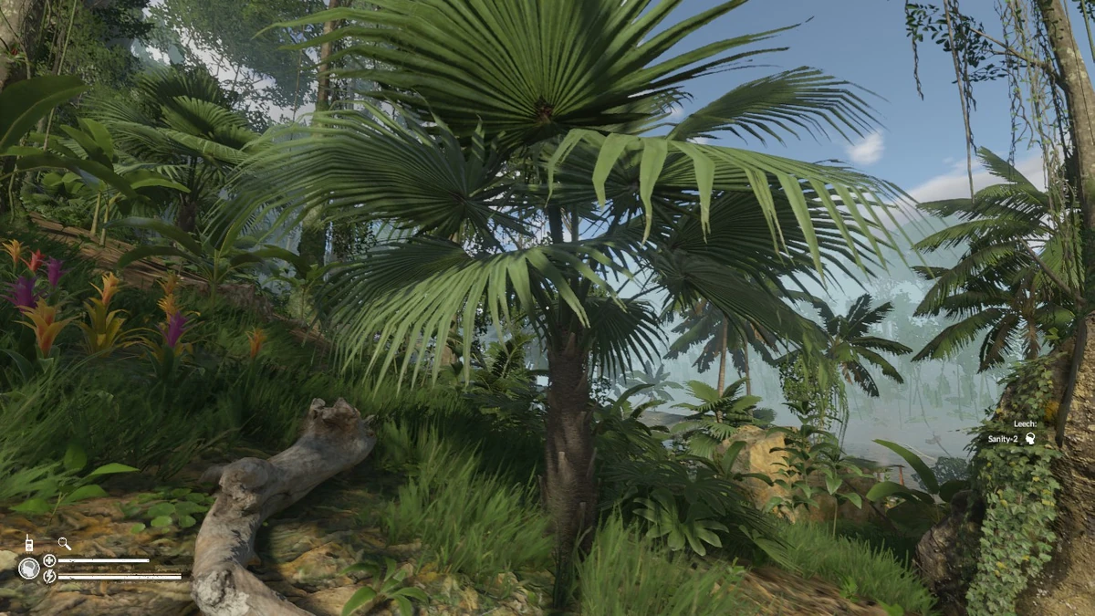 green hell tobacco plant Fan Leaf Palm