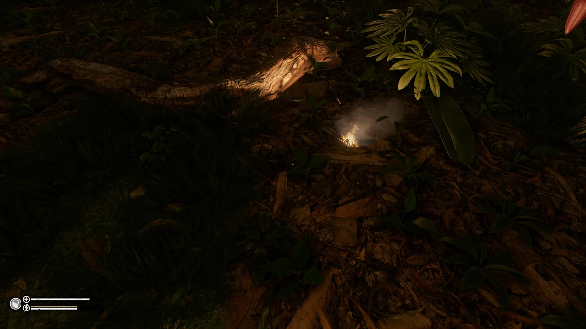 Torch Official Green Hell Wiki