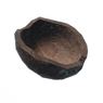 Empty Coconut half shell