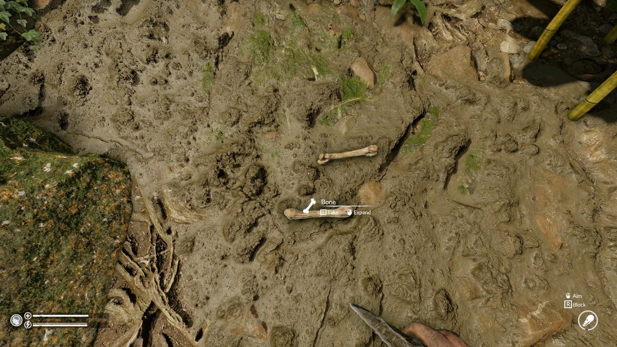 Bone Official Green Hell Wiki