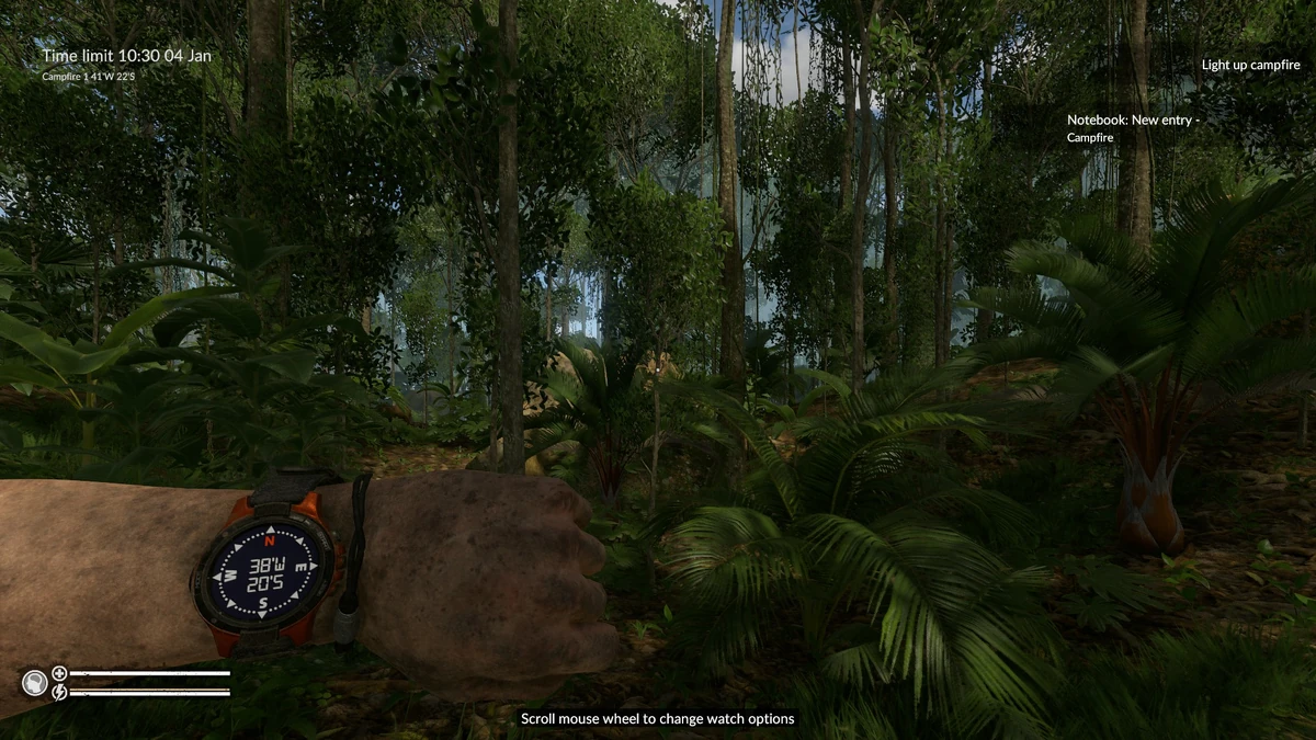 Campfire Challenge Official Green Hell Wiki