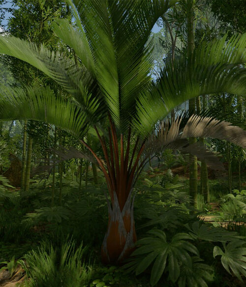 raffia wiki Cheaper Than Retail Price> Buy Clothing, Accessories and