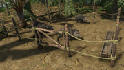 Animal Husbandry