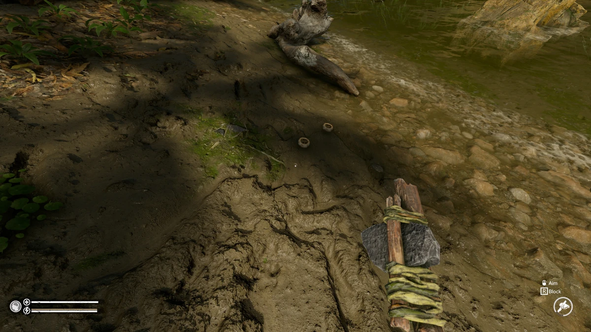 Brazil Nut Shell Official Green Hell Wiki