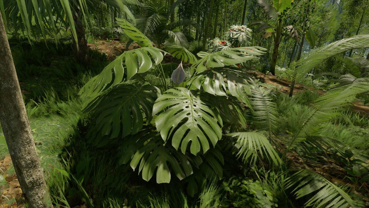 Monstera Deliciosa - Official Green Hell Wiki