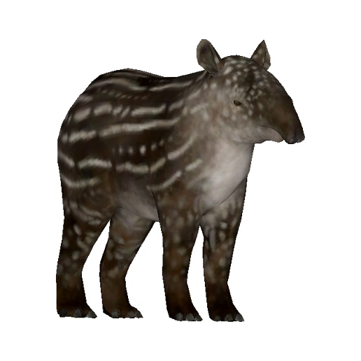 Baby Tapir - Official Green Hell Wiki