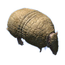 Three Banded Armadillo Official Green Hell Wiki