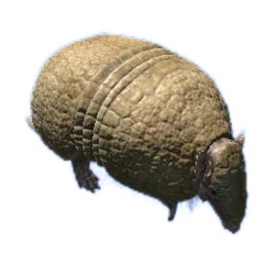 three banded armadillo official green hell wiki three banded armadillo official green
